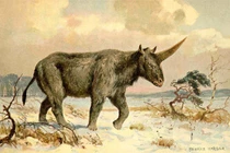 Giải mã bí ẩn về loài kỳ lân có thật trên Trái đất