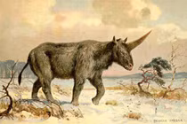 Giải mã bí ẩn về loài kỳ lân có thật trên Trái đất