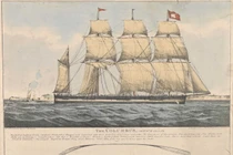 Ngỡ ngàng tàu khổng lồ “dùng một lần” bằng gỗ