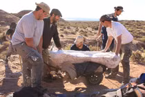 Giật mình siêu quái thú 40 tấn, xương rơi thủng mặt đường 