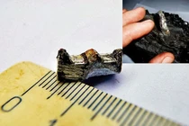 Loạt hiện vật nghi của người ngoài hành tinh thách đố cả nhân loại 