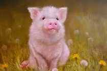 Dự đoán ngày mới 5/4/2025 cho 12 con giáp: Dần suôn sẻ, Hợi sửa sai