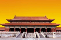 Soi độ quý hiếm của 72 cây cột làm bằng gỗ trong Tử Cấm 