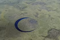 Khám phá chấn động hòn đảo 'con mắt' giữa đầm lầy ở Argentina