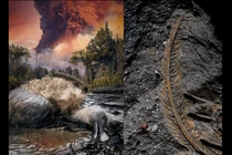 Hé mở bí mật khó ngờ về lông kền kền hóa thạch 