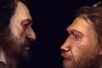 Giật mình bằng chứng người Neanderthal giao phối với người hiện đại