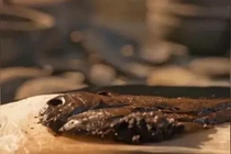 Tìm thấy đàn cá khô trong mộ cổ, chuyên gia hô lớn "báu vật Trời ban"