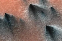 Xuất hiện “nhện sao Hỏa”, chuyên gia tiết lộ điều chấn động 