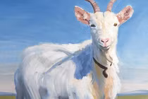 Dự đoán ngày mới 21/3/2025 cho 12 con giáp: Mão hạnh phúc, Mùi thử thách