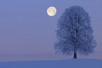 Tối 15/12 hiện tượng Trăng Lạnh bùng nổ trên bầu trời 