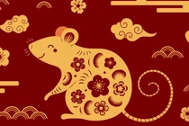 Dự đoán ngày mới 26/2/2025 cho 12 con giáp: Dậu tỏa sáng, Tý trở ngại