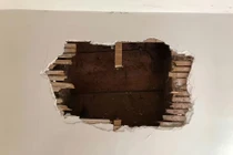 Sốc nặng trước 'thủ phạm' gây ra âm thanh lạ trong tường