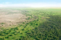 Hé lộ dòng dõi con người mới qua xác ướp 7.000 tuổi