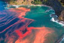 Chuyên gia điên đầu giải mã cảnh tượng lạ trên biển