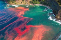 Chuyên gia điên đầu giải mã cảnh tượng lạ trên biển