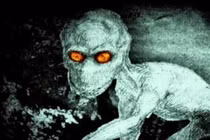 Ám ảnh sinh vật quỷ dị từng khiến con người 'mất ăn mất ngủ'