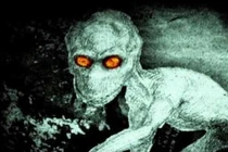 Ám ảnh sinh vật quỷ dị từng khiến con người 'mất ăn mất ngủ'