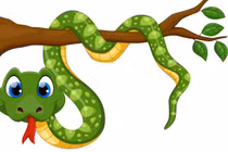 Dự đoán ngày mới 13/12/2024 cho 12 con giáp: Tỵ rủng rỉnh, Tuất hao tài 