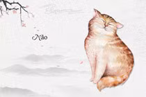 Dự đoán ngày mới 14/12/2024 cho 12 con giáp: Mão viên mãn, Thân sáng tạo 