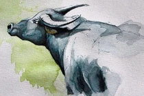 Tử vi tuần mới (5 - 11/5): 3 con giáp đón tài lộc