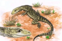 Hóa thạch bò sát 205 triệu tuổi bất ngờ lộ diện, lịch sử phải viết lại