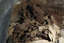 Thông tin về 18 hộp sọ phát hiện trong hang đá ở Nghệ An