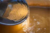 Kỳ lạ dòng sông càng khai thác thì càng có nhiều vàng