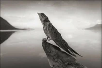 Kỳ bí hồ nước chạm vào là hóa đá