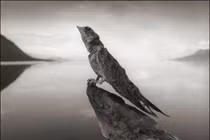 Kỳ bí hồ nước chạm vào là hóa đá