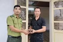 Rùa hộp trán vàng ở Lào Cai là loài nguy cấp