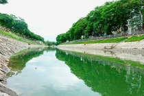 Vì sao sông Tô Lịch nhiều lần chuyển màu bất thường?