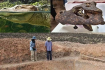 Tìm thấy hộp sọ hóa thạch cá sấu cổ đại 230.000 năm tuổi ở Thái Lan