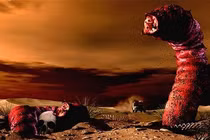 Kinh sợ 'quái vật' bí ẩn gây sốc điện của Mông Cổ