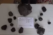 Đi hái nấm, bất ngờ trúng số nhặt được 'báu vật' Trời ban