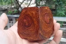 Loại gỗ đắt đỏ, quý hơn vàng ở Việt Nam