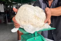 Ngư dân hốt bạc tỷ nhờ vô tình nhặt được long diên hương