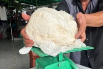 Ngư dân hốt bạc tỷ nhờ vô tình nhặt được long diên hương