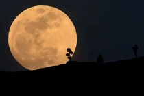 Hiện tượng thiên văn kỳ thú "siêu trăng xanh" sẽ xuất hiện đêm 19-20/8