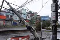 Hình ảnh tan hoang khi bão số 3 Yagi đổ bộ Quảng Ninh