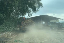Xưởng chế biến dăm gỗ trái phép “thi gan” cùng chính quyền