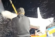 'Quái thú' lao vút lên thuyền khiến cần thủ trở tay không kịp