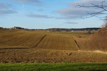 Đang làm việc trên cánh đồng, nông dân bất ngờ đụng trúng “kho báu” Trời ban 