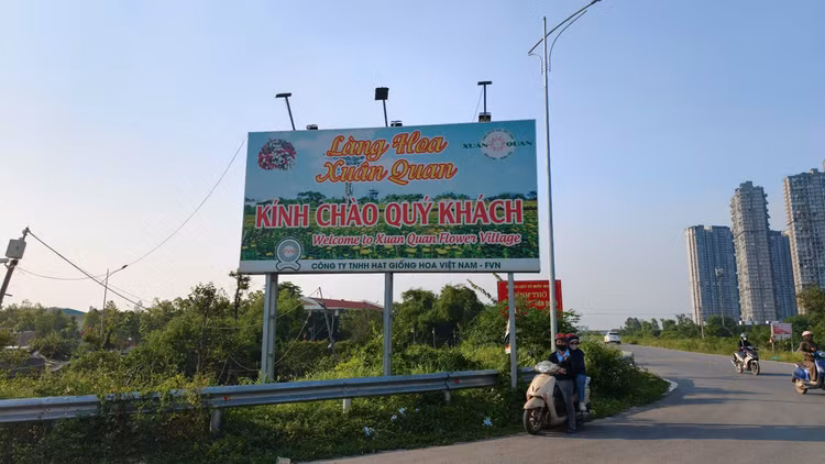 anh-tt2.jpg
