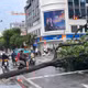 Cây xanh đổ chắn đường Điện Biên Phủ, hai ô tô bị hư hỏng do mưa lớn