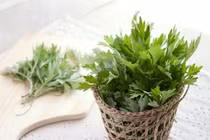 Cách sử dụng ngải cứu chữa rối loạn tiền đình