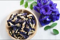 Hoa đậu biếc sử dụng sai cách, rủi ro cho sức khỏe