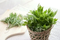 Cách sử dụng ngải cứu chữa rối loạn tiền đình