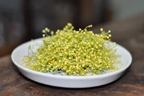 Bài thuốc chữa bệnh với dược liệu cây ngâu