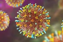 Nghiên cứu vắc xin Nipah của Nhật Bản mở đường ngăn chặn dịch bệnh