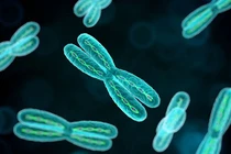 Nam giới mắc hội chứng Klinefelter ảnh hưởng đến sức khoẻ sinh sản thế nào?